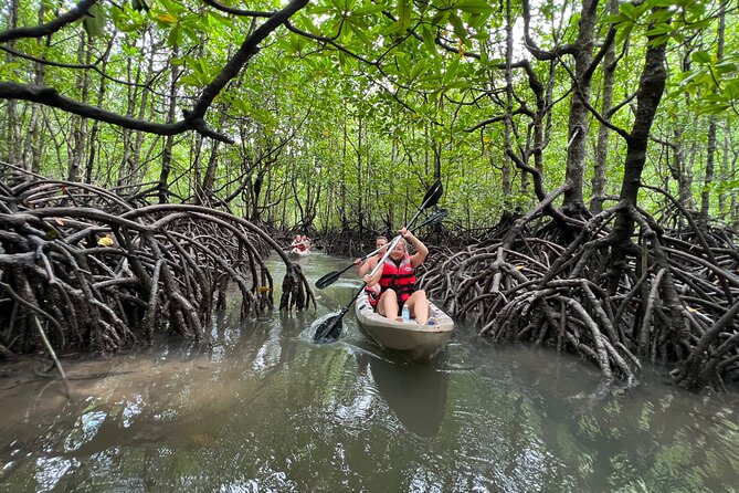 Mangrove Kayak Explore